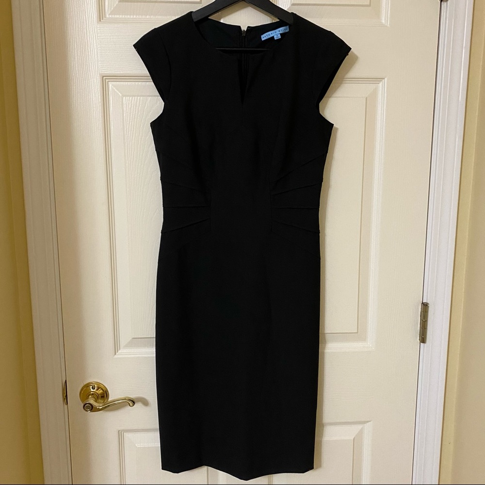 Antonio Melani dress Size 2